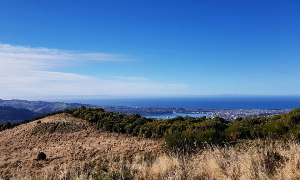 Pineapple and Flagstaff, Otago