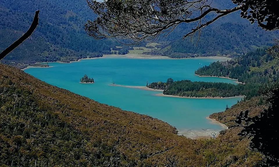 Nydia Track, Marlborough