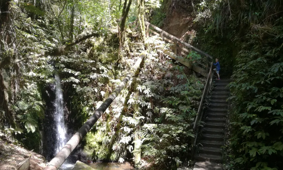 Hilly Hakarimata, Waikato