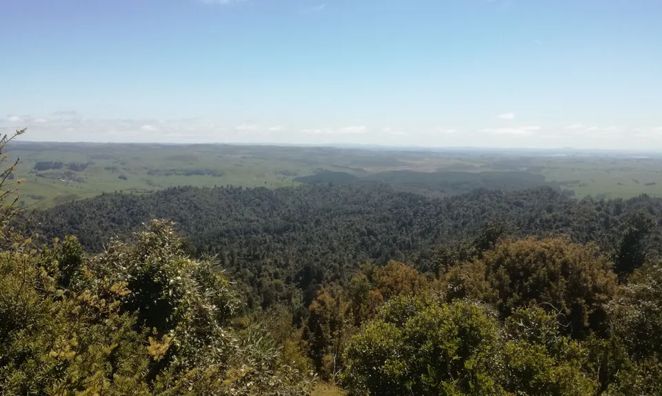 Hilly Hakarimata, Waikato