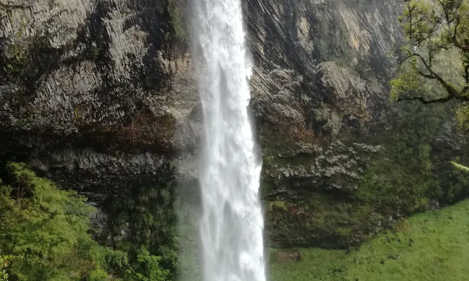 Lifting the Veil, Waikato