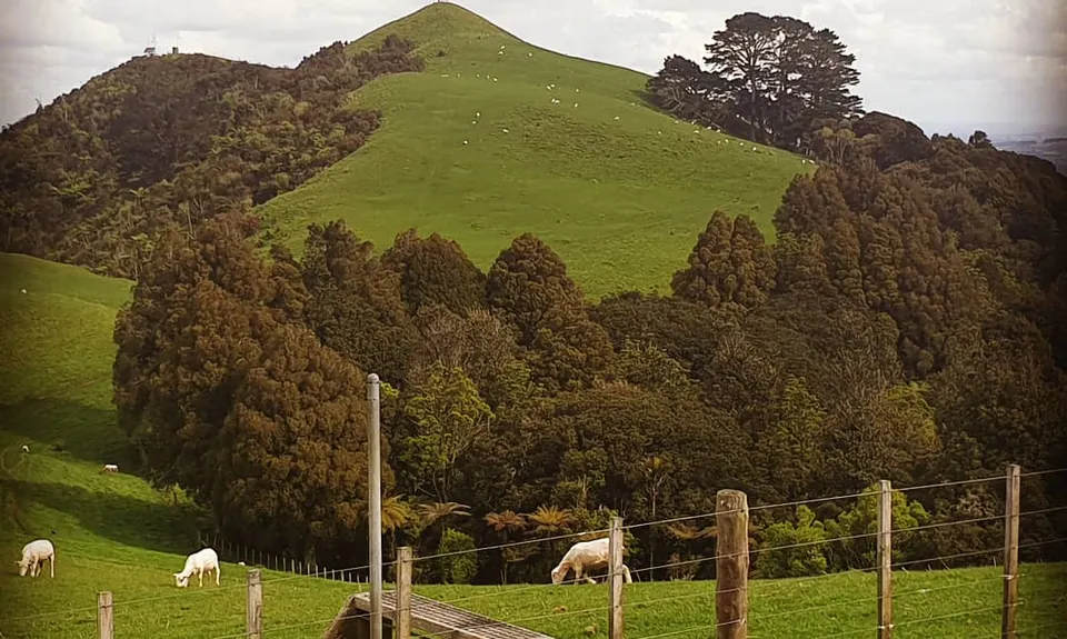 Mt William Wacky Walkway, Auckland