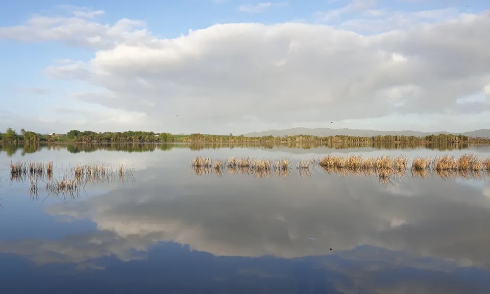 Lake D Dash, Waikato