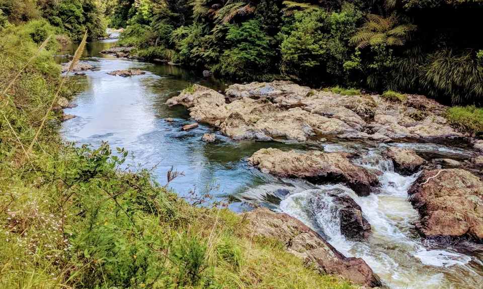 Orum Road/Te Araroa loop, Auckland