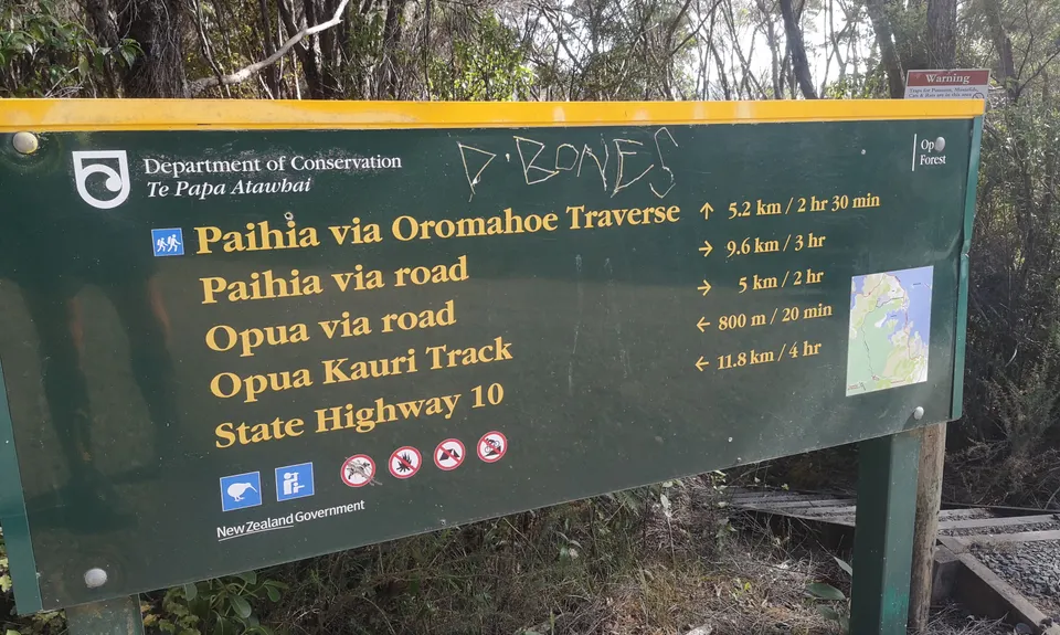 Paihia Lookout Track +, Northland