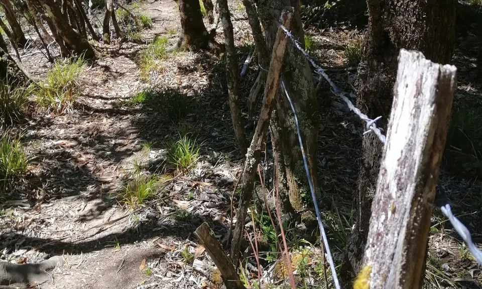 Waitahinga Dam Loop, Manawatu - Wanganui
