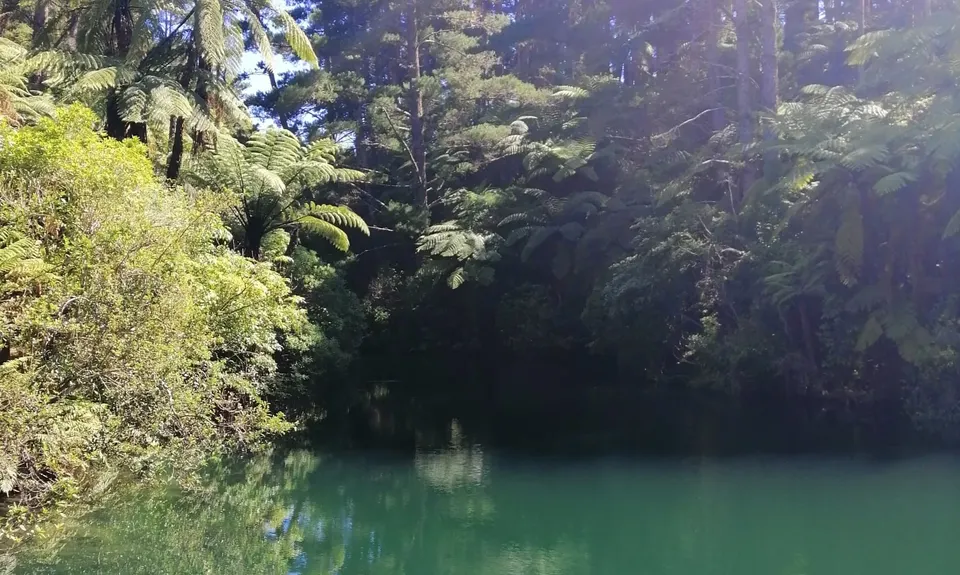 Waitahinga Dam Loop, Manawatu - Wanganui