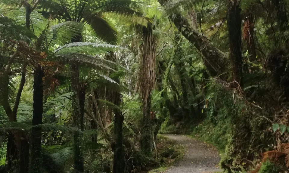 Monro Beach Track, West Coast