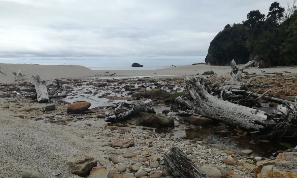 Monro Beach Track, West Coast
