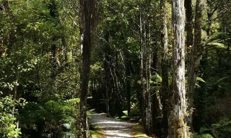 The Great Ross Gold Run, West Coast