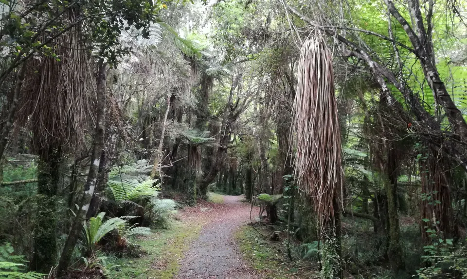Moana Meander, West Coast