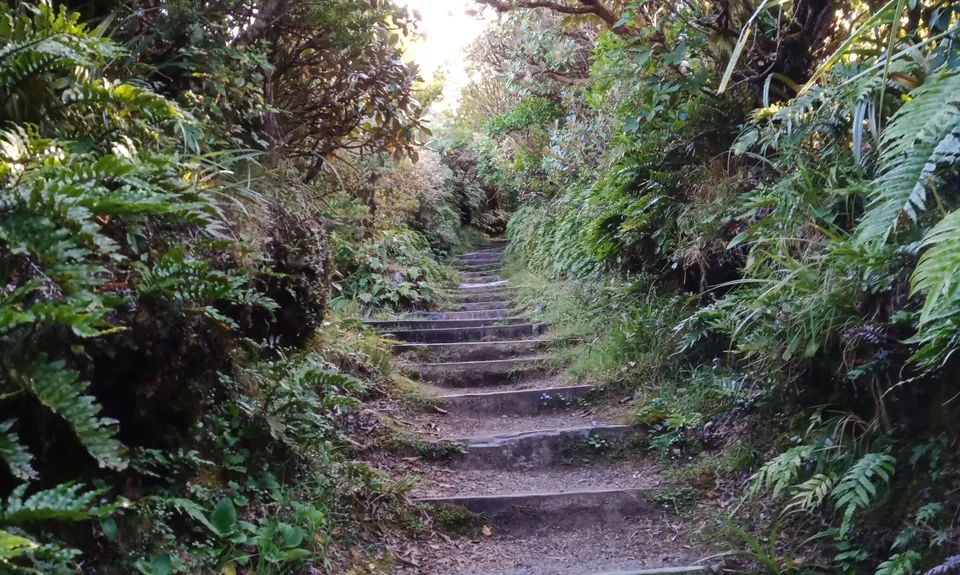 Taranaki RTM with a Twist, Taranaki