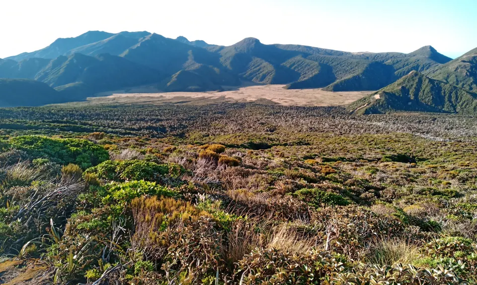 Taranaki RTM with a Twist, Taranaki