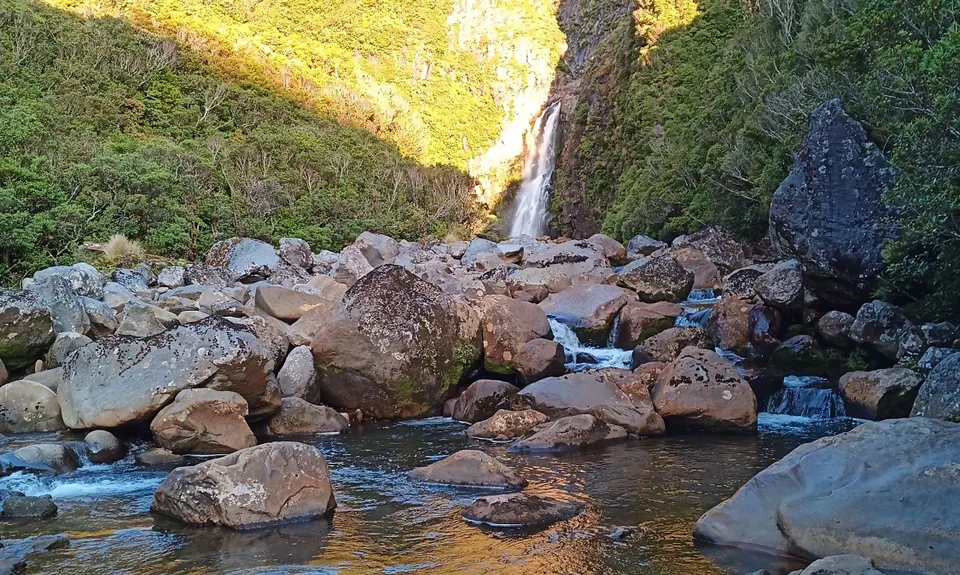 Taranaki RTM with a Twist, Taranaki