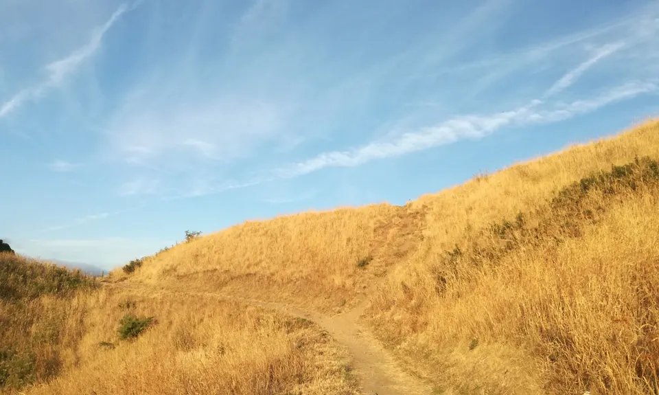 Little Learner Loop (Halswell Quarry) , Canterbury