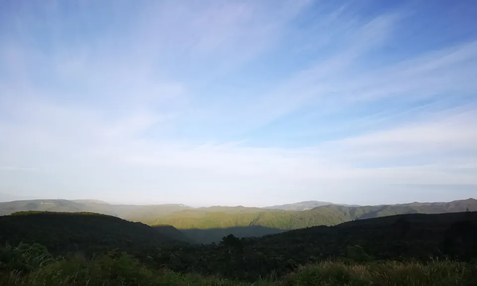 Flagstaff Swampy Circuit, Otago