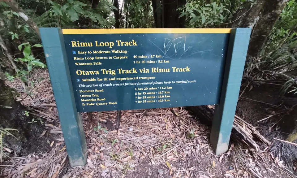 Otanewainuku to Otawa, Bay of Plenty