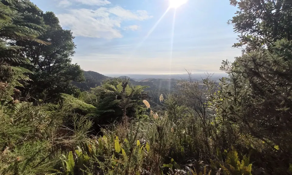 Otanewainuku to Otawa, Bay of Plenty
