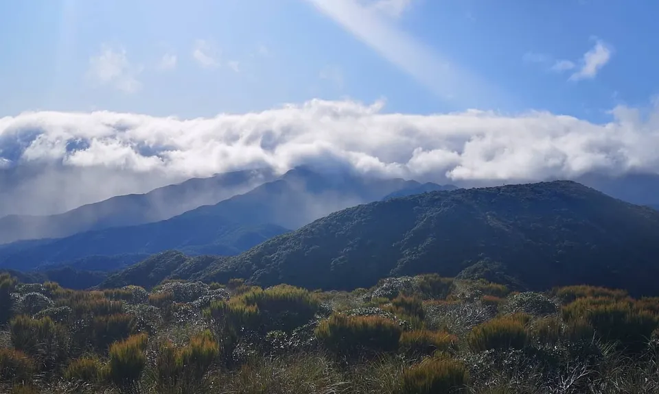 Waiopehu Gable Grunt, Manawatu - Wanganui