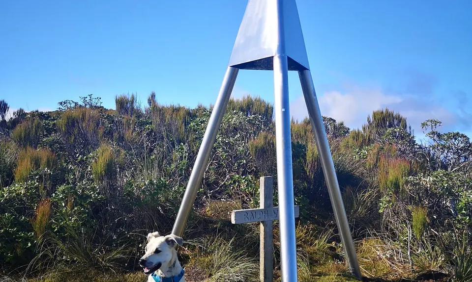 Waiopehu Gable Grunt, Manawatu - Wanganui