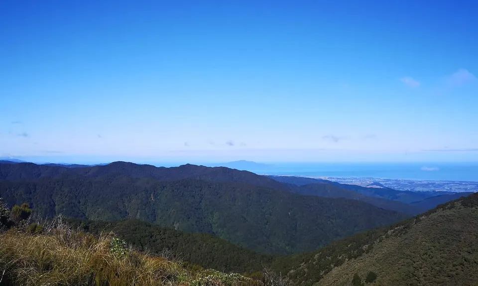 Waiopehu Gable Grunt, Manawatu - Wanganui