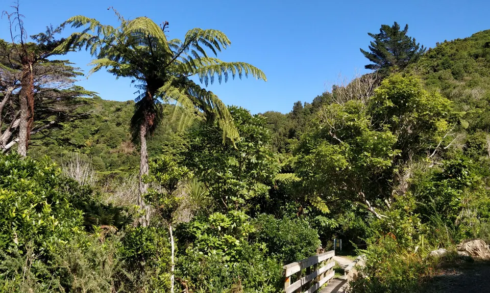 Puke Ariki Traverse, Wellington