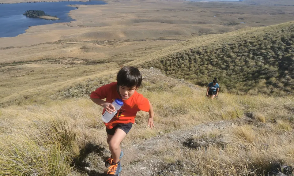Mt Guy, Canterbury