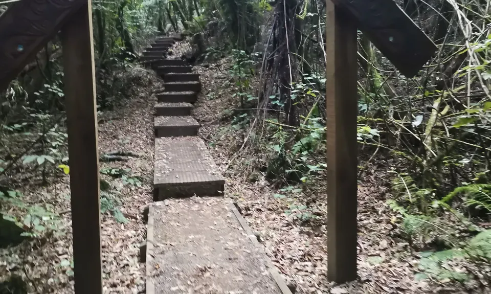 Kakepuku Climb, Waikato