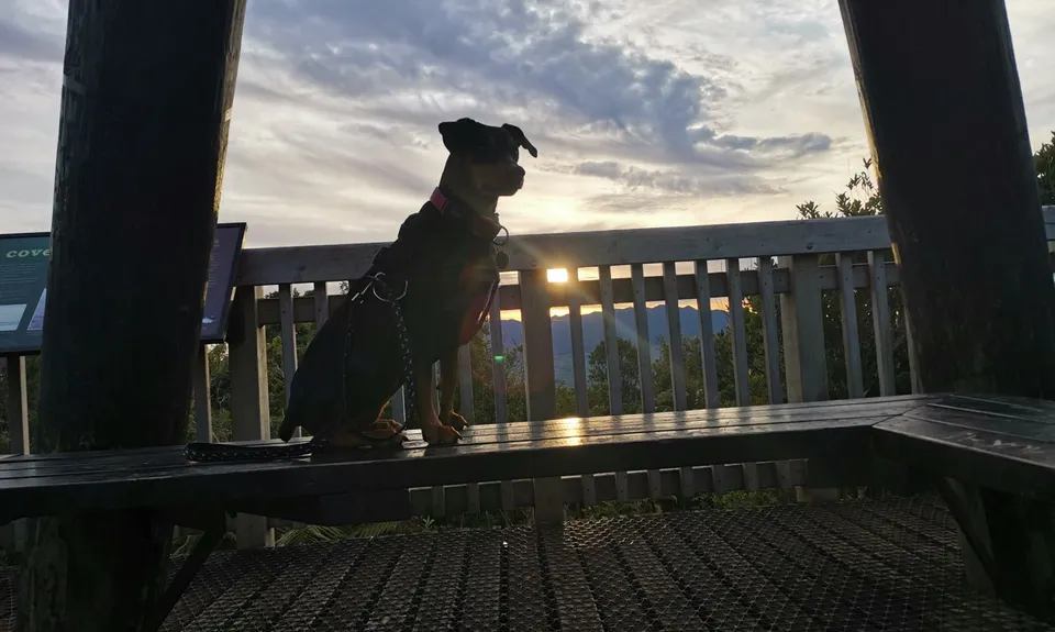 Kakepuku Climb, Waikato
