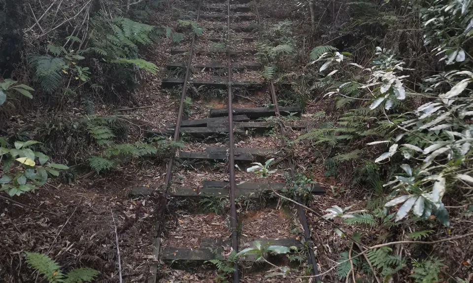 Te Aroha -Waiorongomai Loop, Waikato