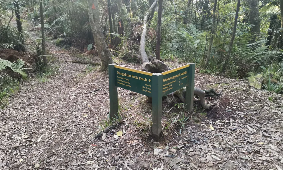Te Aroha -Waiorongomai Loop, Waikato