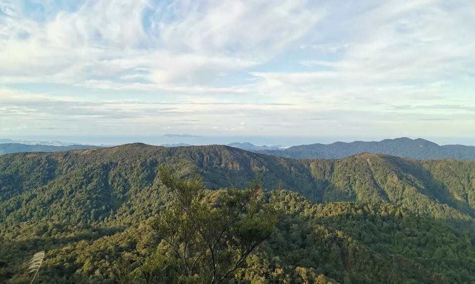 Te Aroha -Waiorongomai Loop, Waikato