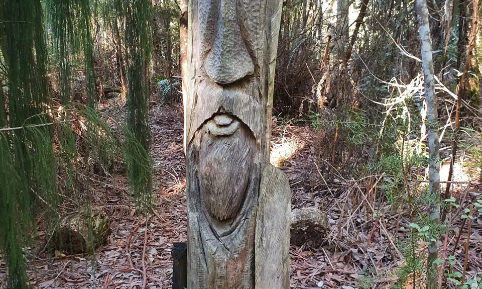 Milnthorp Maze, Tasman
