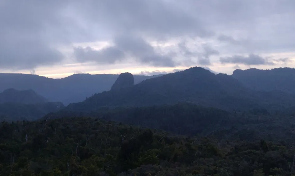 Pinnacles & Billy Goat, Waikato