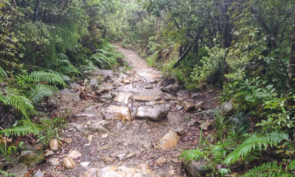 Pinnacles & Billy Goat, Waikato