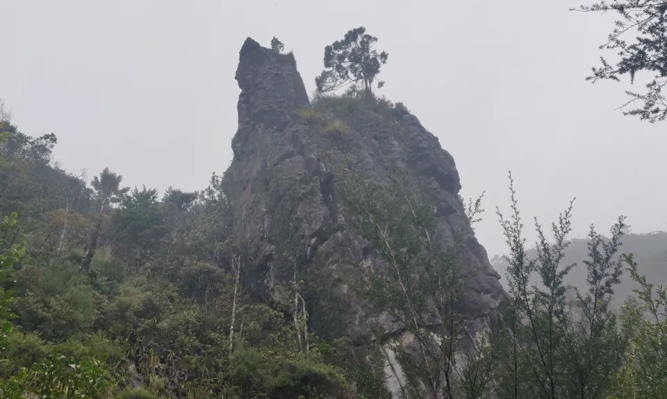 Pinnacles & Billy Goat, Waikato