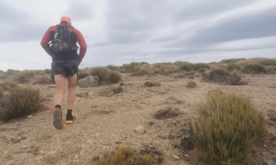 Mt Oxford Half, Canterbury