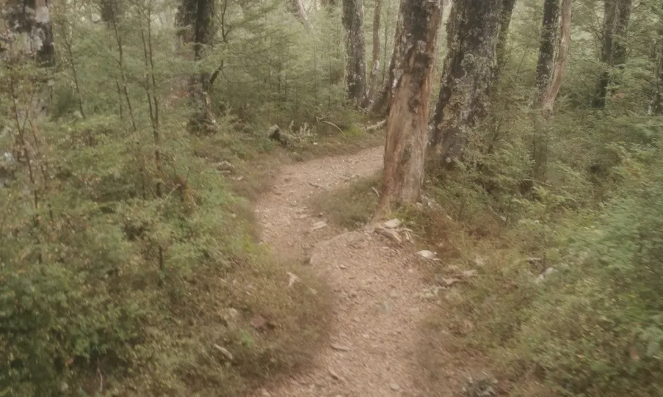 Mt Oxford Half, Canterbury