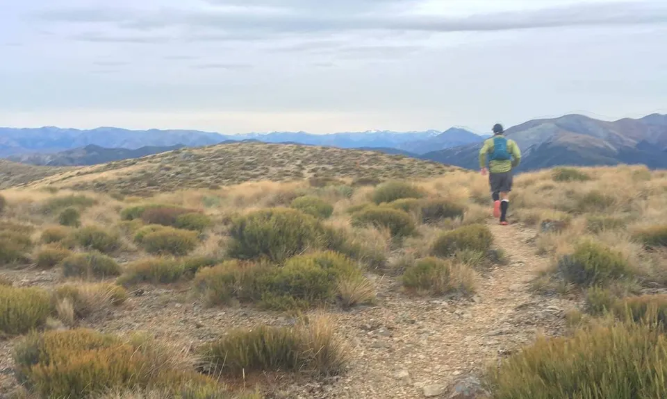 Mt Oxford Half, Canterbury