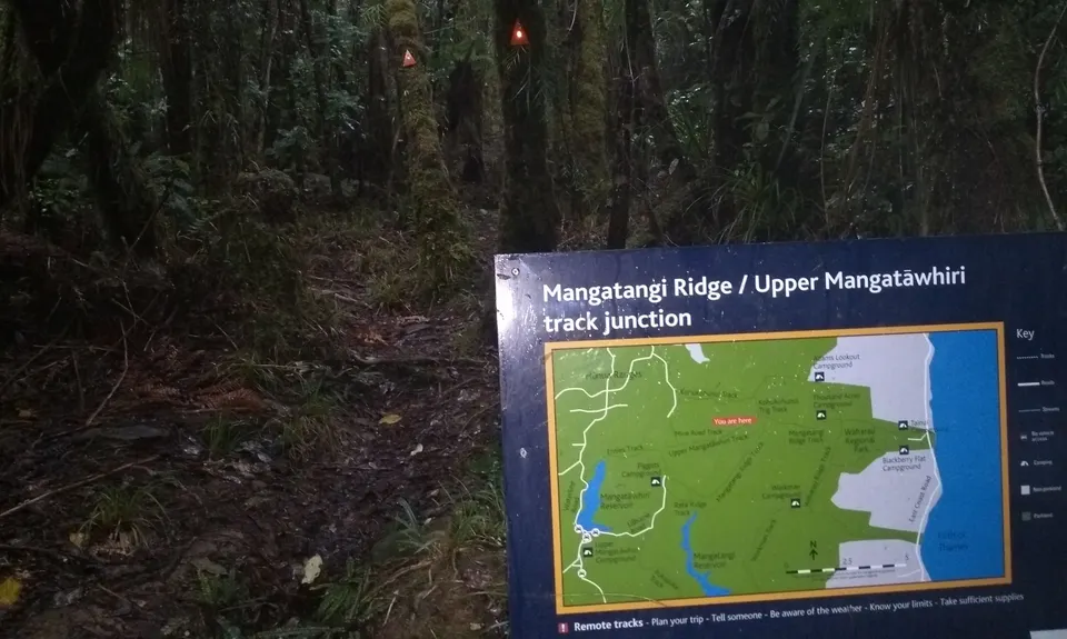 Kohukohunui Connection, Auckland
