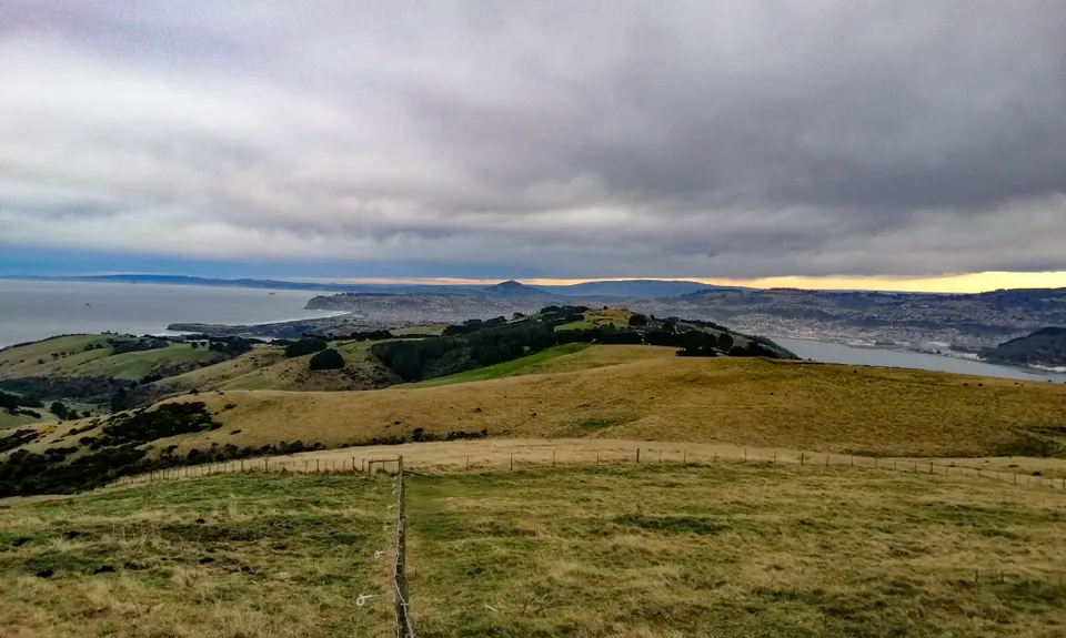 Karetai Soldier, Otago