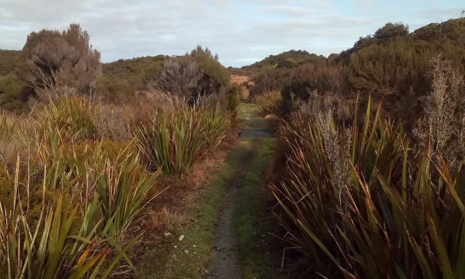 Heaphy East to West, Tasman
