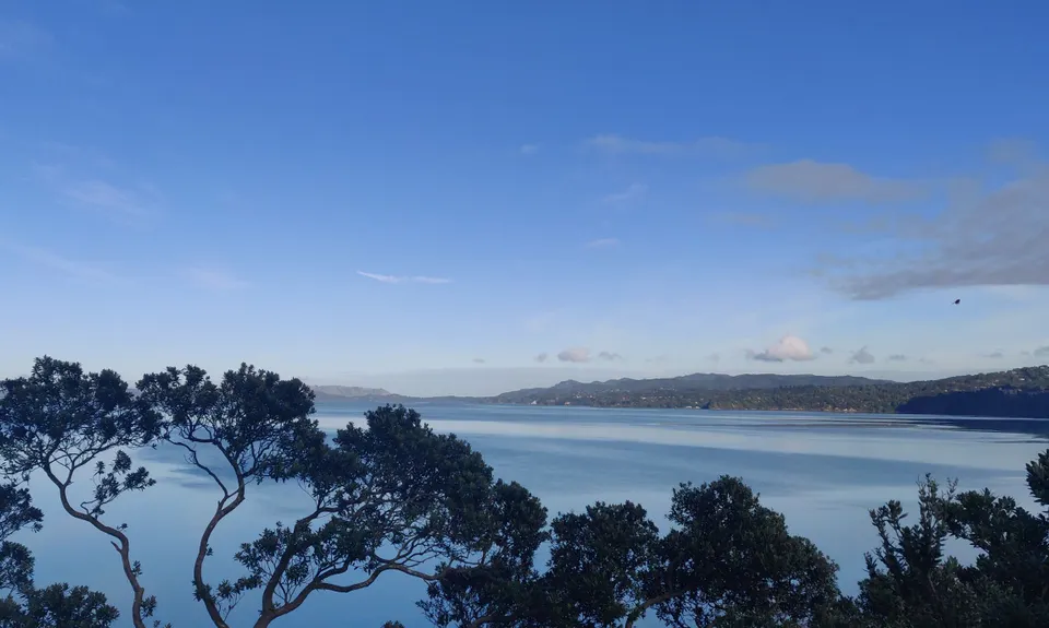 Waikowhai Stairs, Bush & Beach, Auckland