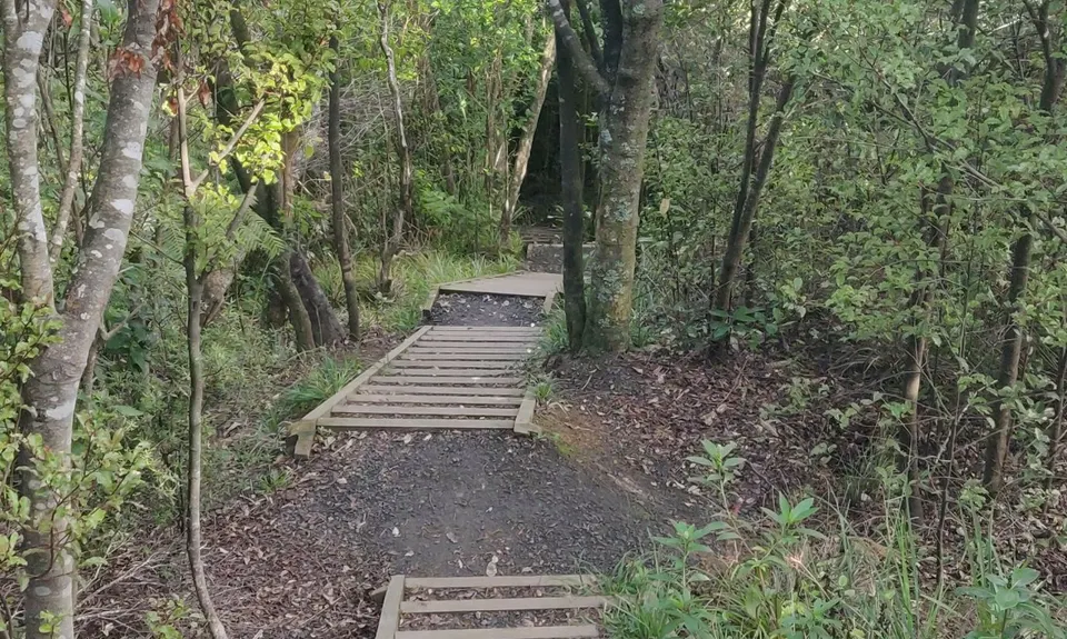 Waikowhai Stairs, Bush & Beach, Auckland