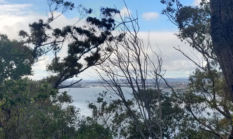 Waikowhai Stairs, Bush & Beach, Auckland