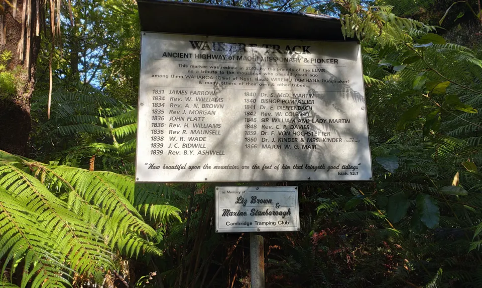 Upland Road to Wairere Falls, Bay of Plenty