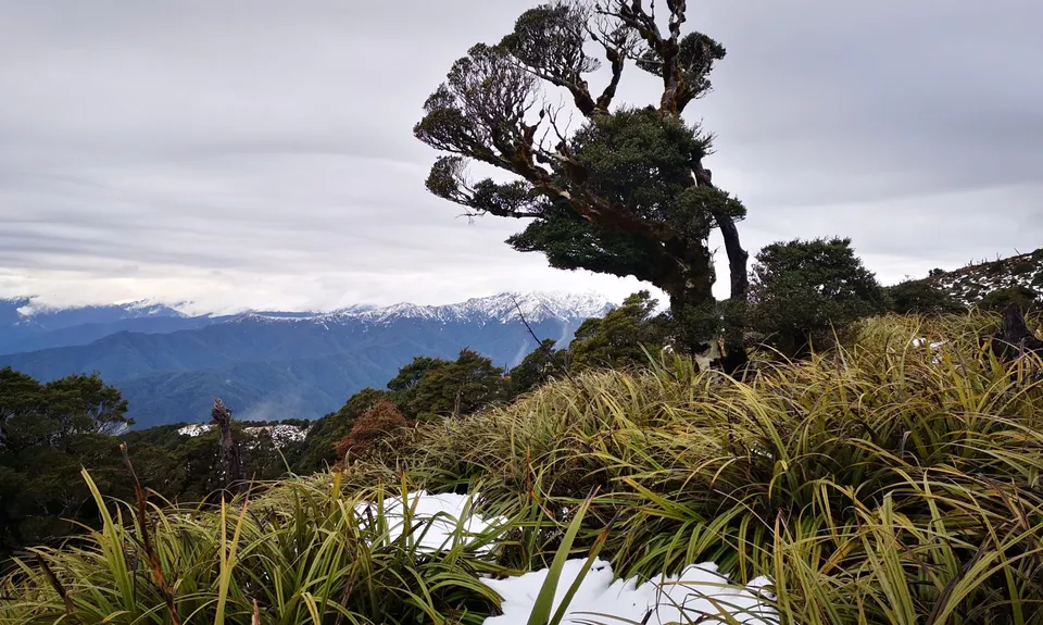 Kapakapanui Loop, Wellington