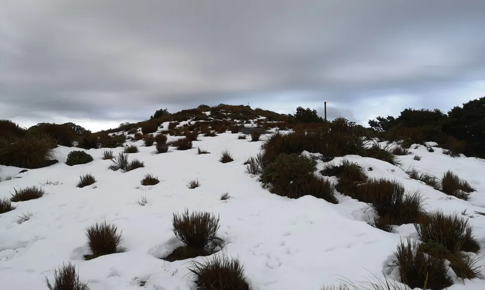 Kapakapanui Loop, Wellington