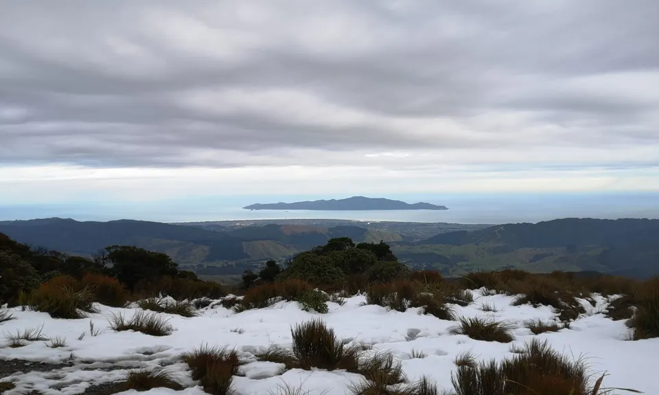 Kapakapanui Loop, Wellington
