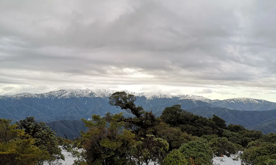 Kapakapanui Loop, Wellington